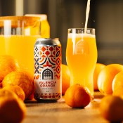 Vault City Brewing - Valencia Orange Session Sour